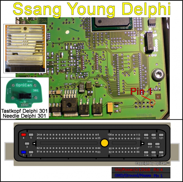 Delphi (Ssang Young) pinout diagram 1